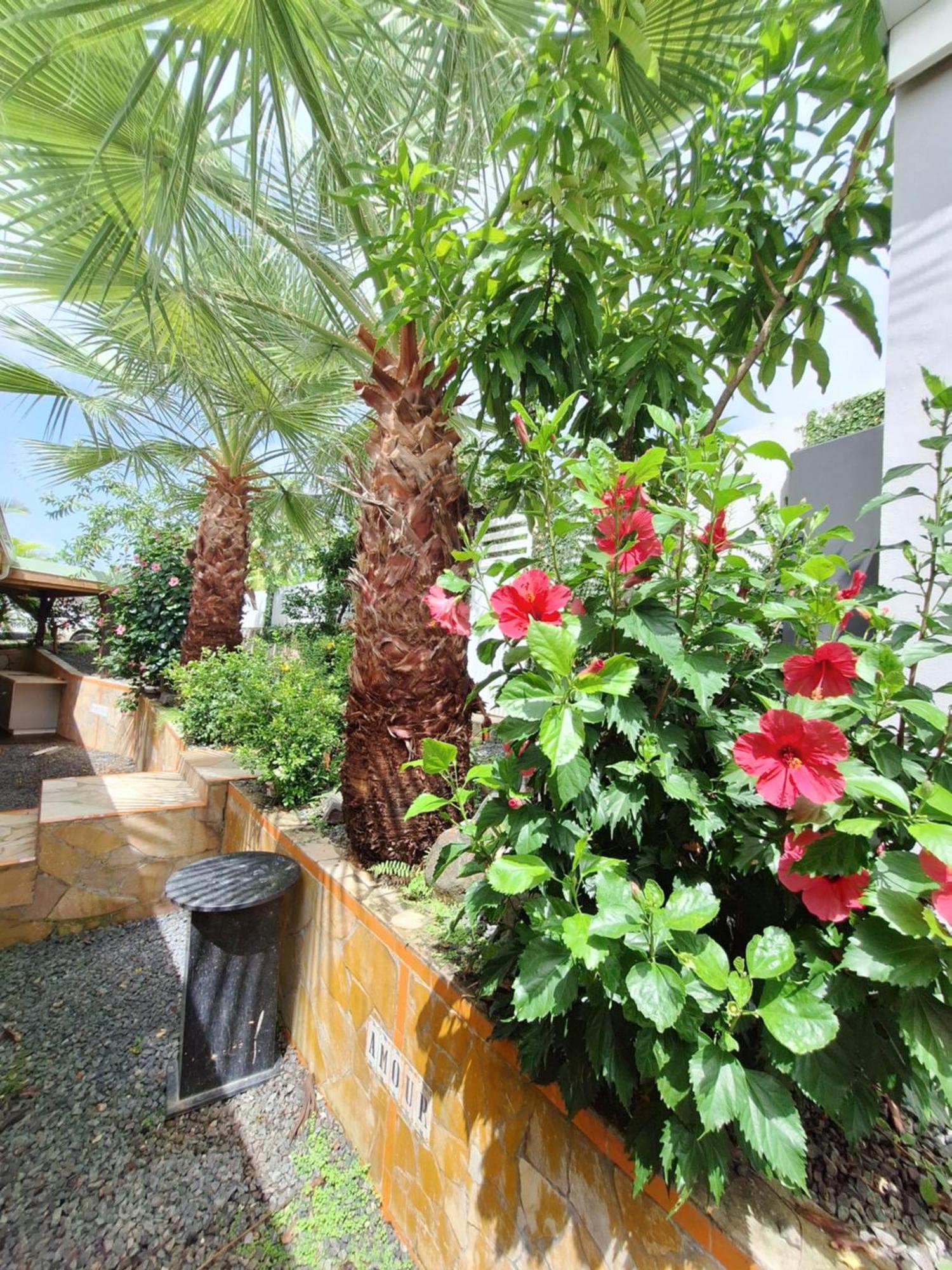 River Paradise Goyave Exterior photo